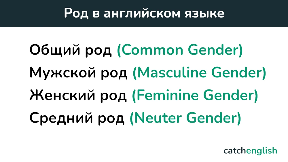 Род в английском языке