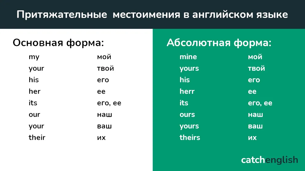 Притяжательные местоимения в английском языке