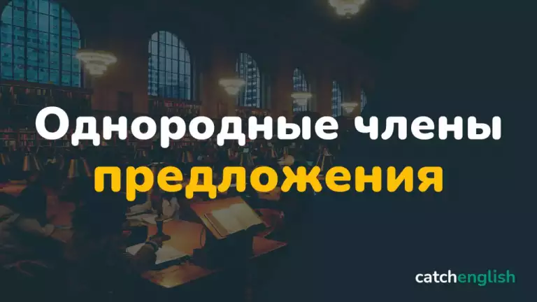 Однородные члены предложения