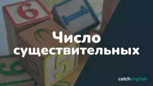 Единственное и множественное число существительных в английском языке